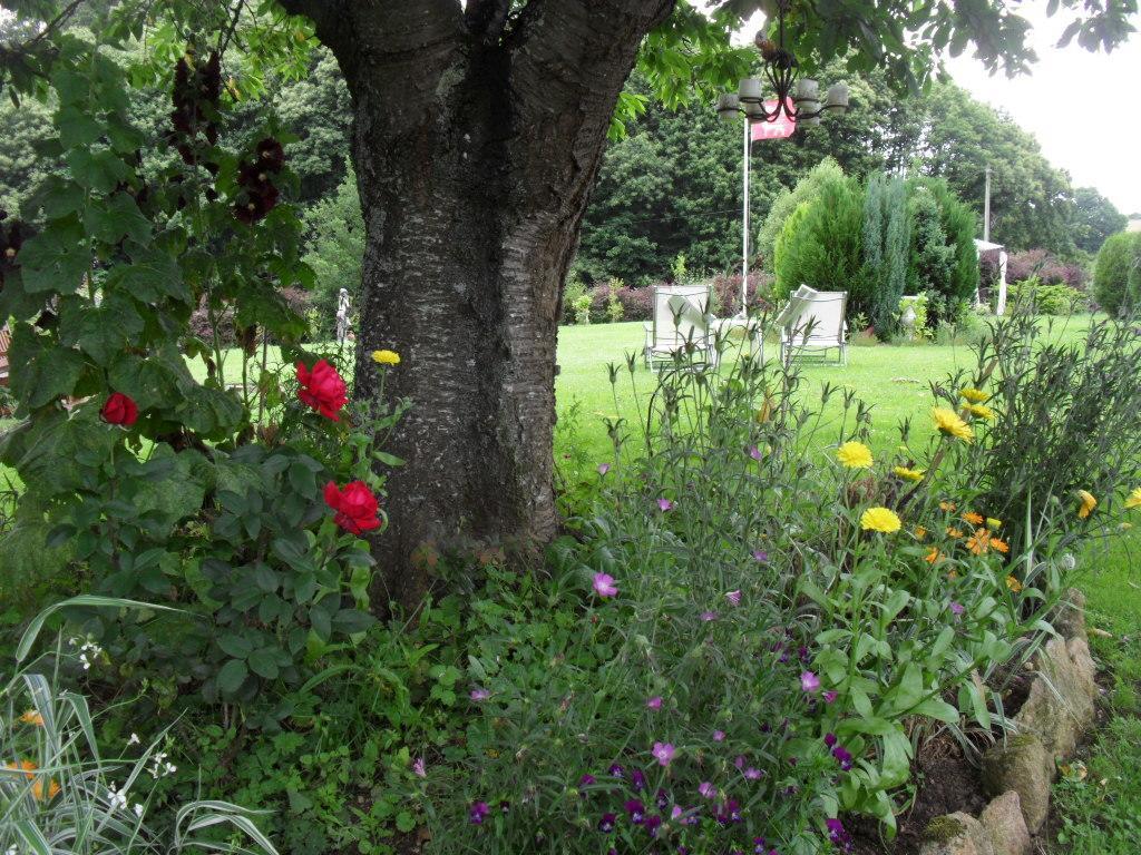 La Chevallerie B&B Isigny-le-Buat Luaran gambar