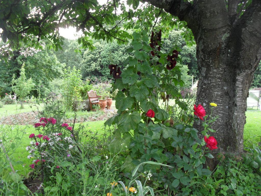 La Chevallerie B&B Isigny-le-Buat Luaran gambar