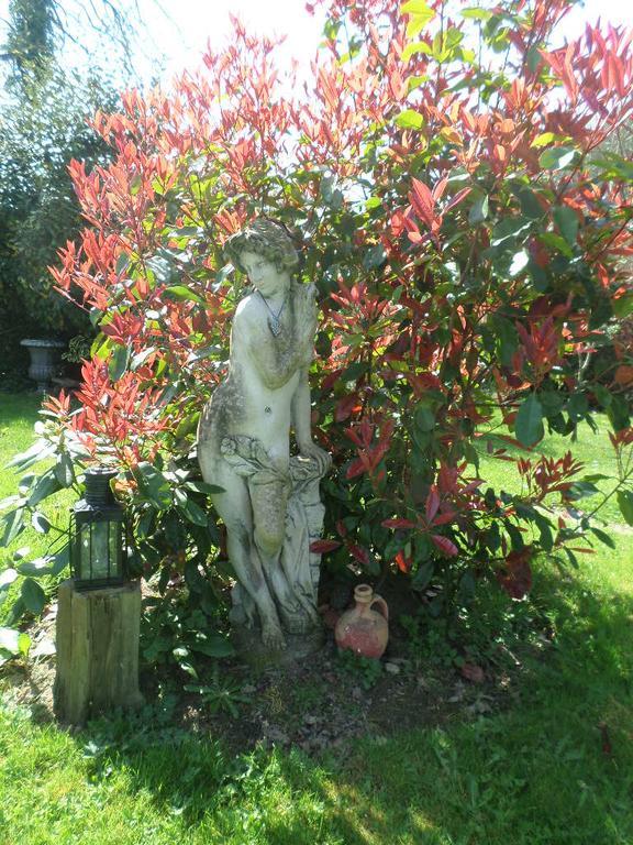 La Chevallerie B&B Isigny-le-Buat Luaran gambar