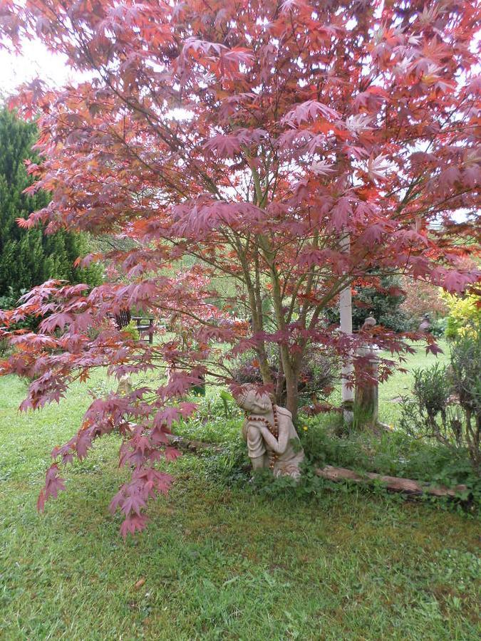 La Chevallerie B&B Isigny-le-Buat Luaran gambar
