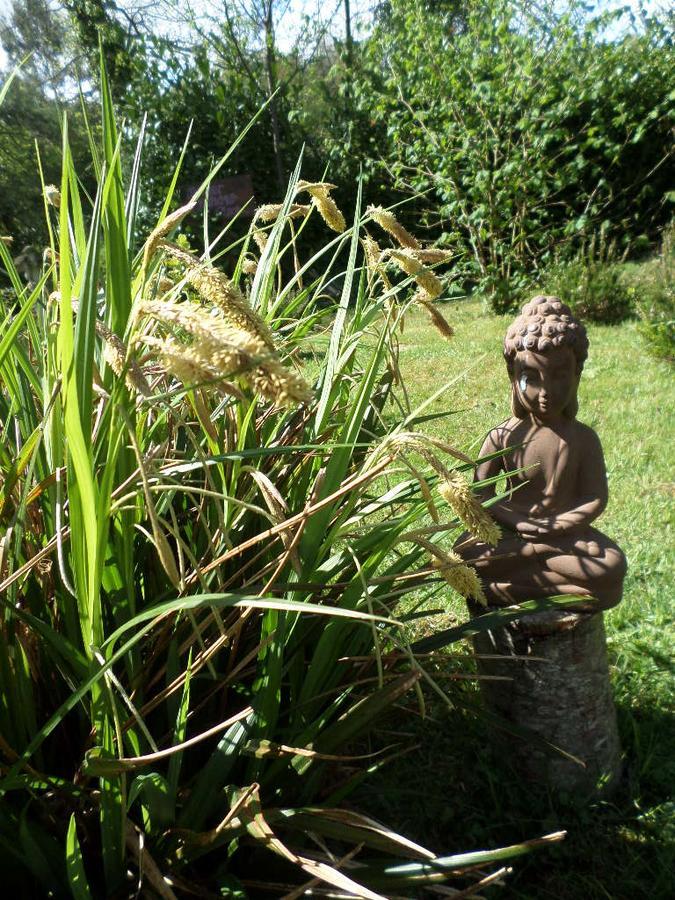 La Chevallerie B&B Isigny-le-Buat Luaran gambar